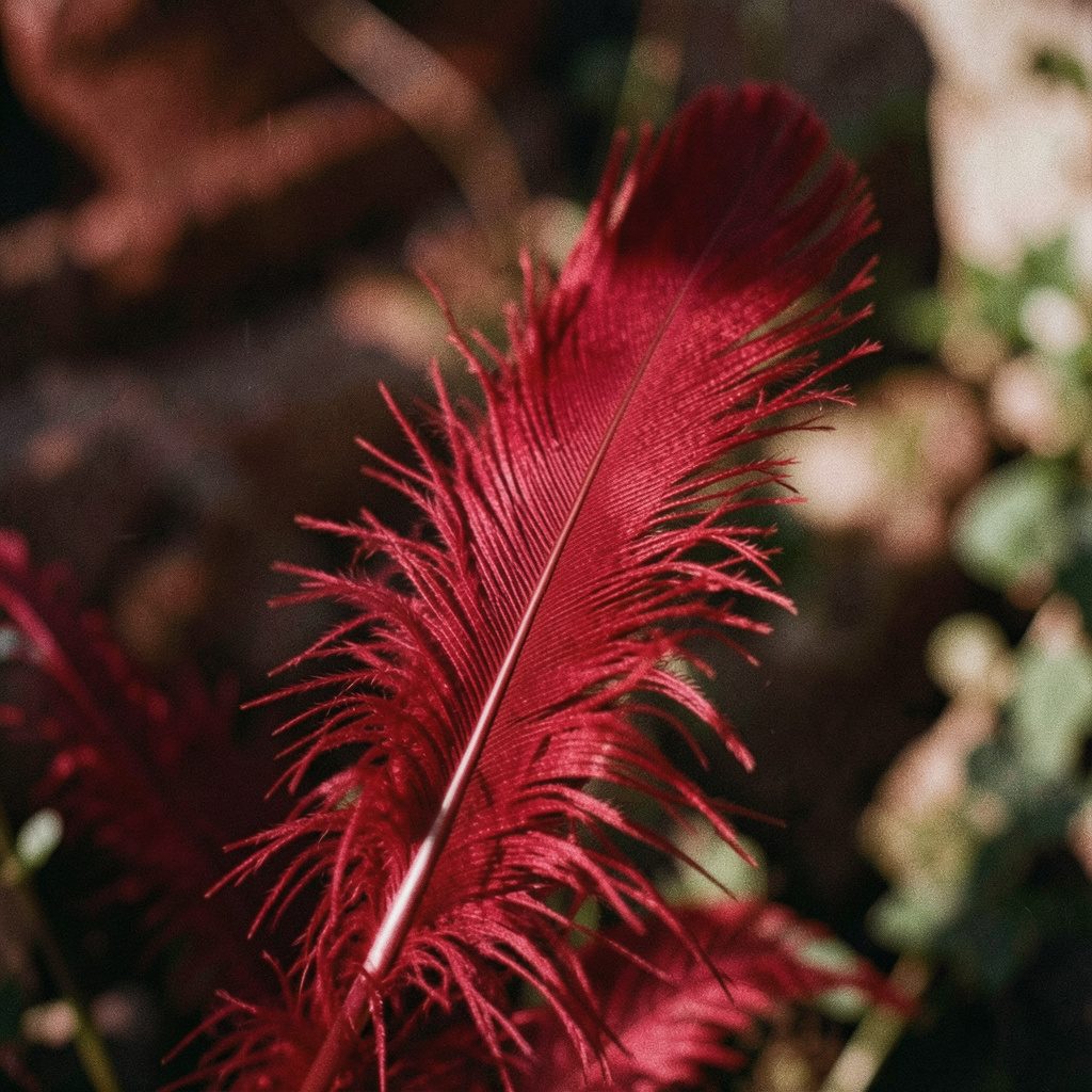 Soft watercolor feathers in muted teal and blush tones cascading across a light background