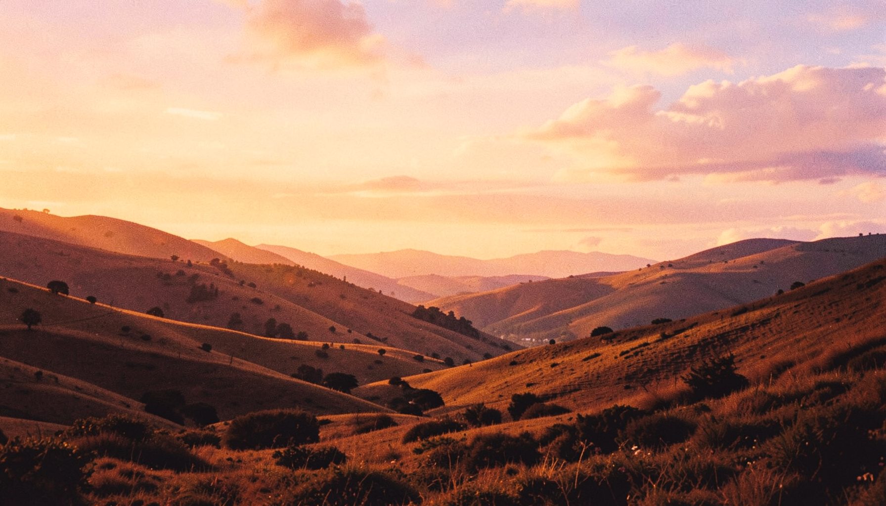 A sweeping landscape illustration with rolling hills and a luminous sky in warm amber and soft lavender hues